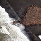 arctic global warming climate change rising temperatures ice In this aerial photo taken on Sept. 23, 2014 and released by NOAA, some 1500 walrus are gather on the northwest coast of Alaska. Pacific walrus looking for places to rest in the absence of sea ice are coming to shore in record numbers, according to NOAA. (AP Photo/NOAA, Corey Accardo This June 2014 released by the U.S. Fish and Wildlife Service shows Pacific walruses in the Chukchi Sea off the coast of Alaska. Researchers are trying to get a better handle on the size of the Pacific walrus population ahead of an expected decision by the U.S. Fish and Wildlife Service on whether the animals need special protections. (AP Photo/U.S. Fish and Wildlife Service